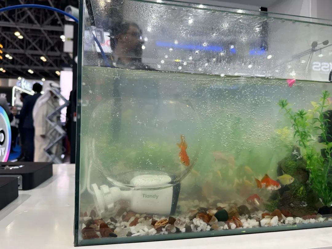 asiagame(中国)asiagaming